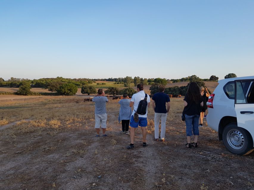 From Seville: Half-Day Bull Breeding Farm Tour - Important Information