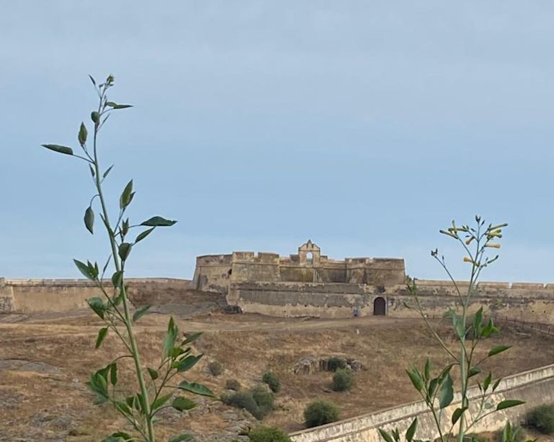 From Seville to the Algarve;Guided, Private Scenic Road Trip - Picnic Lunch