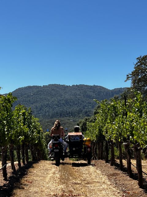 From Sonoma: Napa Valley Classic Sidecar Tour to 3 Wineries - Picnic Delight