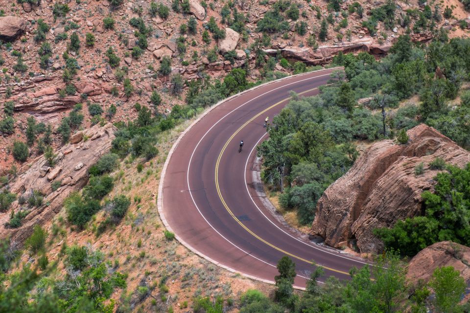 From Springdale: Zion National Park Bike Tour - Meeting Point and What to Bring