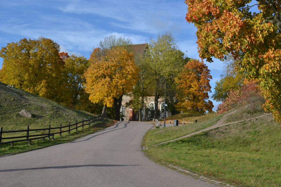 From Stockholm: Uppsala and Sigtuna Viking Sites Tour - Sigtunas Viking Ruins