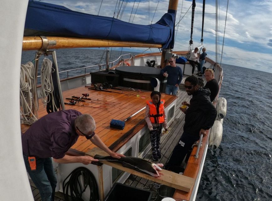 From Svolvær: Lofoten Islands Sea to Table Fishing Trip - Catch of the Day