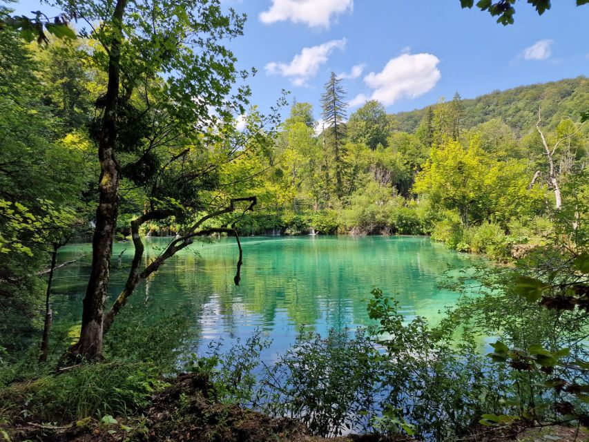 From Zadar: Plitvice Lakes Day Tour With Boat Ride - Customer Reviews