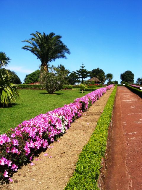 Full-Day 4x4 Nordeste Azores Tour From Ponta Delgada - Included and Excluded Services