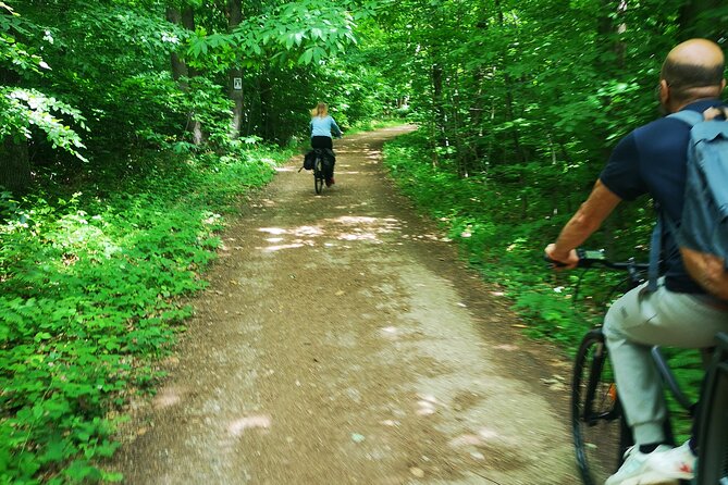 Full-Day Electric Bike Tour From Paris to Versailles - Route and Highlights