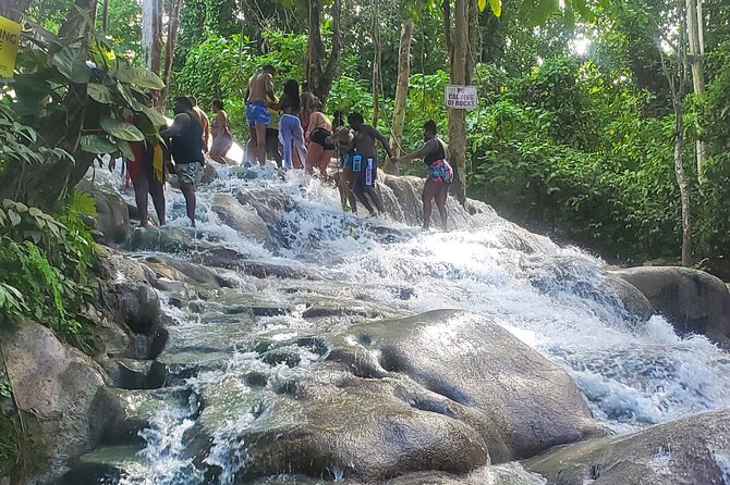 Full-Day Guided Tour to Dunns River Falls & Shopping With Lunch - Shopping Experience