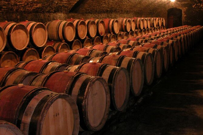 Full Day Private Tour 10 Premier & Grand Cru Vineyards, The Best of Burgundy - Expert Guidance