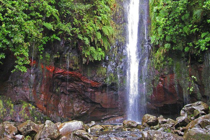 Full-Day Rabacal Levada Walk From Funchal - Qualified Guide Assistance