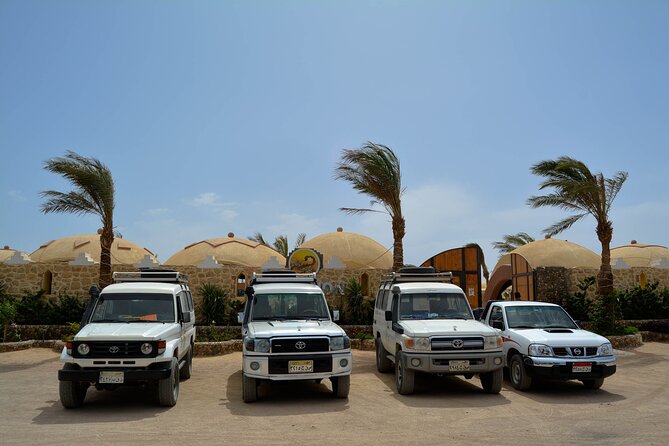 Fun Safari ATV, Buggy Car and Dinner, Show-Hurghada - Tour Inclusions Overview