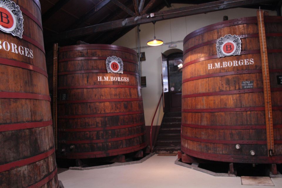 Funchal: H.M. Borges Winery Guided Tour With Wine Tasting - Wine Tasting Options