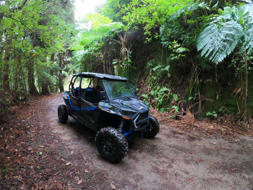 Funchal: Private Off-Road Buggy Tour With Guide & Transfers - Inclusions and Exclusions