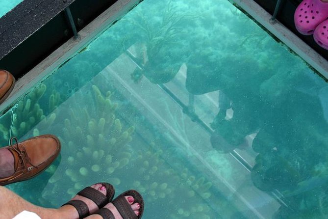 Glass Bottom Boat and Snorkeling Combo in Bermuda - Additional Tour Information