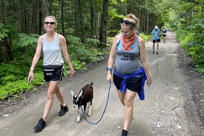 Goat Hiking, Beaver Dam Visit and Picnic in Quebec Forest - Inclusions for the Tour