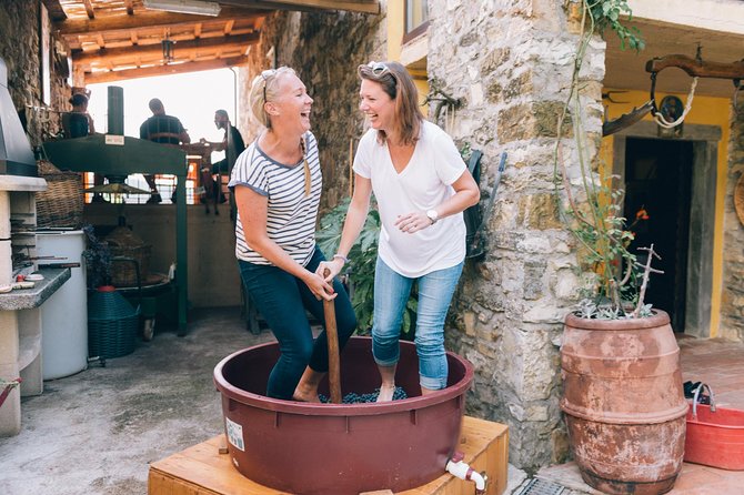 Grape Stomping in Tuscan Farmhouse From Florence - Homemade Lunch and Wine Tasting