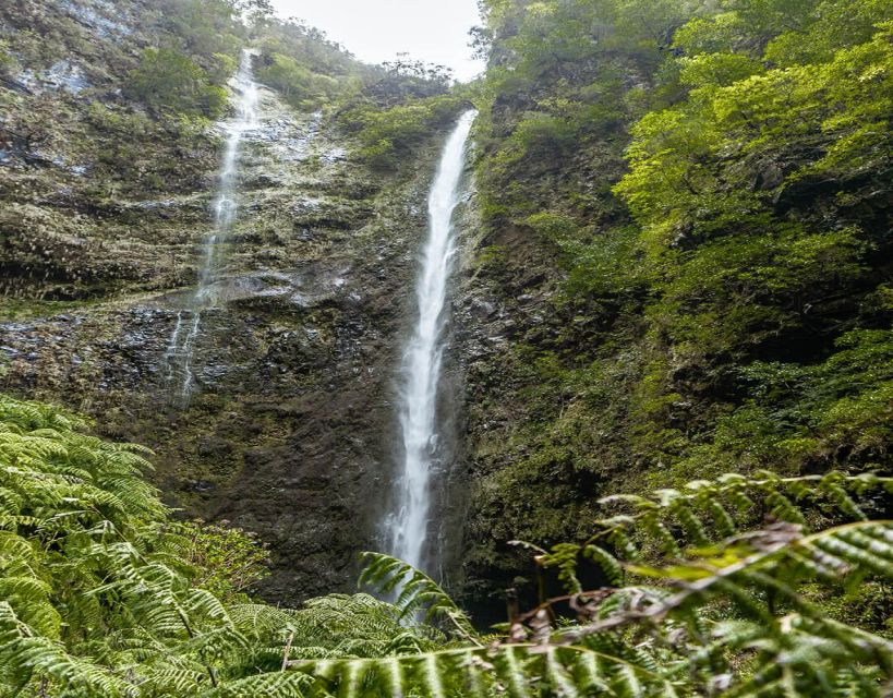 Green Cauldron Levada: Roundtrip Transfer & Hike - What to Bring