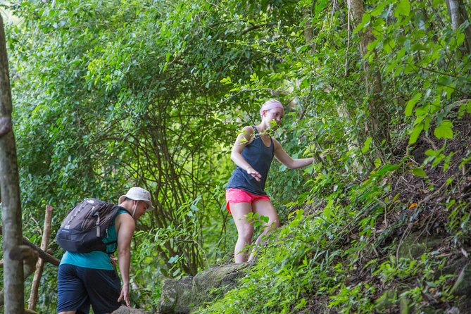 Gros Piton Hike - Fitness Level and Medical Considerations