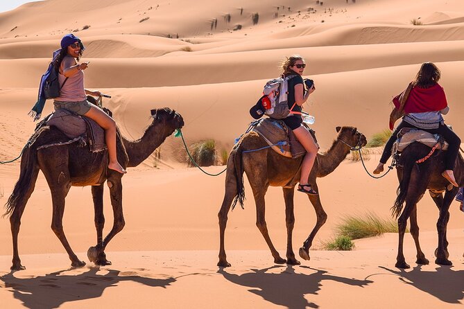 Group 3-Day Marrakech to Merzouga Desert Tour - Oasis and Kasbahs