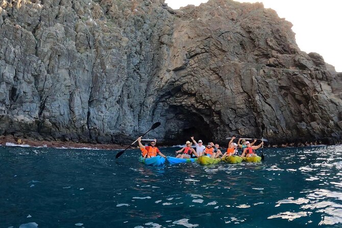 Guided Kayak Tour From Los Cristianos Beach Tenerife - What to Expect