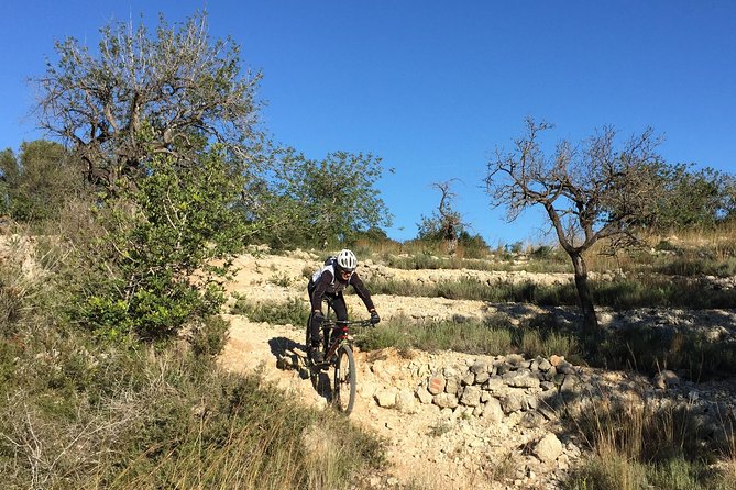 Guided Mountain Bike Route - Pata Negra Tour - Tour Details