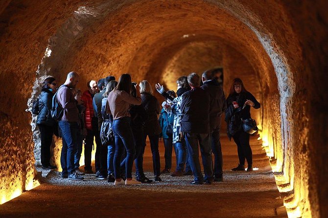 Guided Tour of Roman Tarragona - Roman Tarragona Highlights