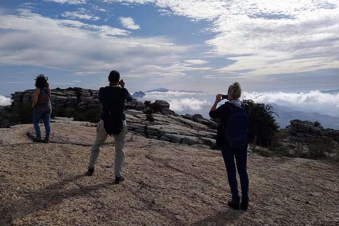 Guided Tour of the Dolmens and El Torcal - Accessibility and Requirements