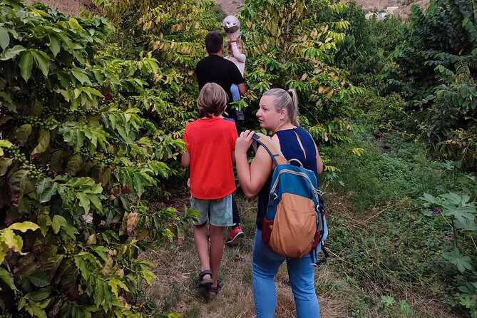 Guided Tour to the Only Coffee Farm in Europe - Meeting Point