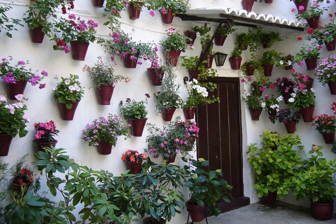 Guided Tour to the Popular Patios of Cordoba - Group Size and Tour Operator