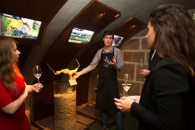 Guided Visit and Wine Tasting in a Royal Wine Cellar in Paris - Interactive App for Tasting Notes