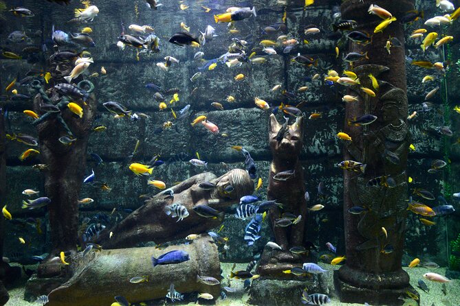 Half Day Antalya Aquarium Tour And Wax Museum - Tour Specifications