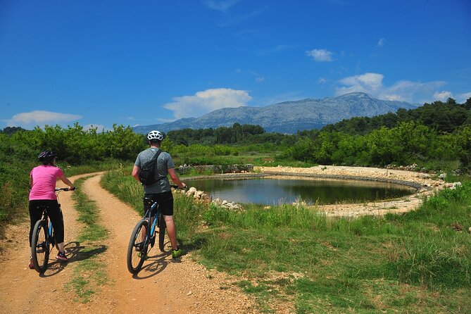 Half-Day Bike Tour in Lumbarda With Wine Tasting - Dalmatian Snacks and Pairings