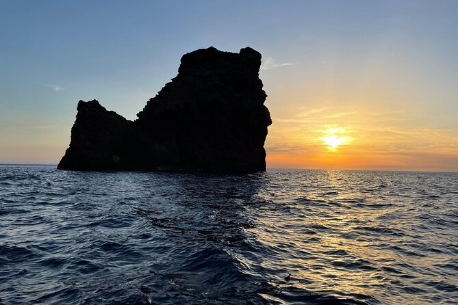 Half Day Boat Trip to Scandola Calanche De Piana - Duration and End Point