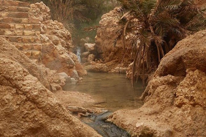 Half-Day Excursion to the Mountain Oases From Tozeur - Exploring the Tamerza Canyon