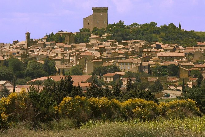 Half Day Great Vineyard Tour From Avignon - Tasting the Grand Cru Wines