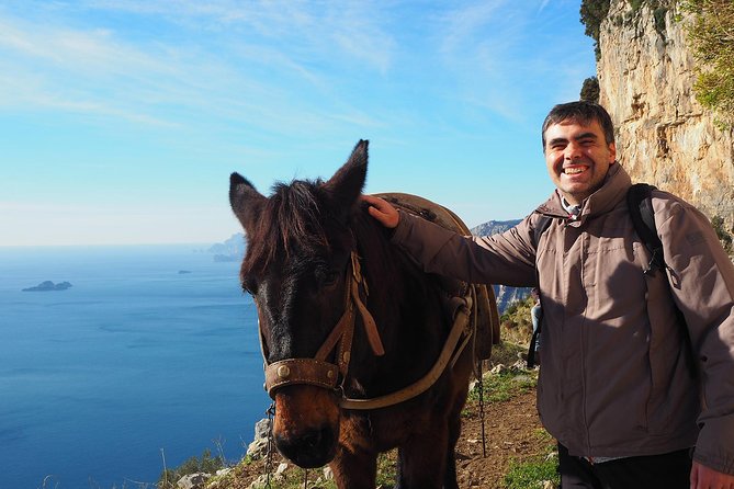 Half-Day Private Amalfi Coast Path of the Gods Hike With Lunch - Meeting Point Details