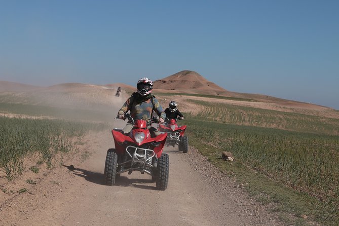 Half-Day Quad Bike in the Palmgrove & Rock Desert - Inclusions