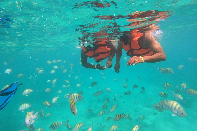 Half-Day Snorkeling Cruise and Natural Pool With Open Bar - Beverages and Refreshments Onboard