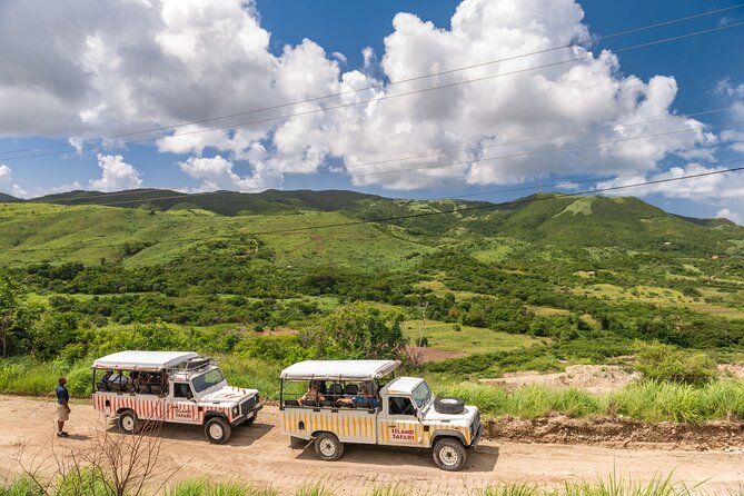 Half-Day Tour: Island Safari Adventure From St. Johns - Reviews and Feedback