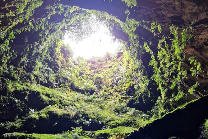 Half Day Tour to the Caves - Highlights of the Tour