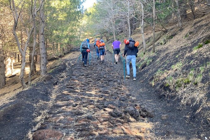 Half Day Trekking Tour on Etna - Pricing and Cancellation