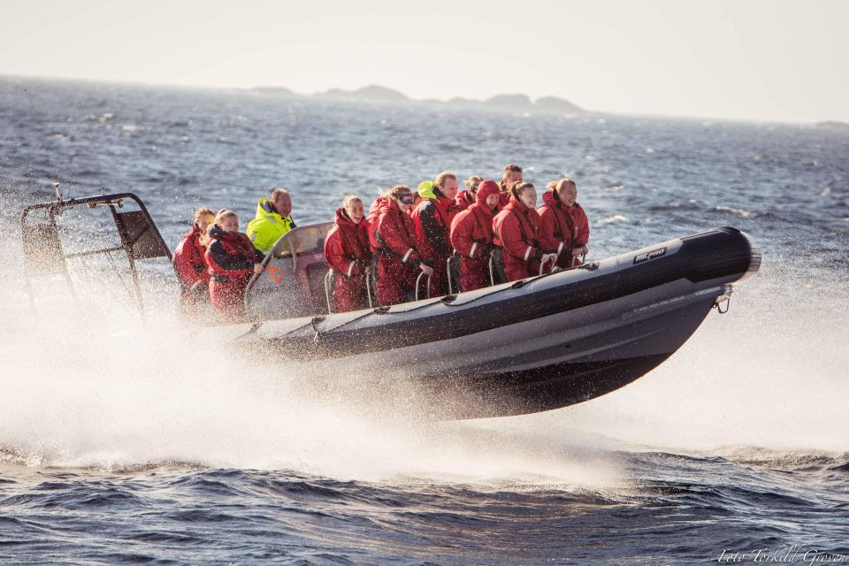 Haugesund: Rib Boat Tour With Island Visit - Frequently Asked Questions