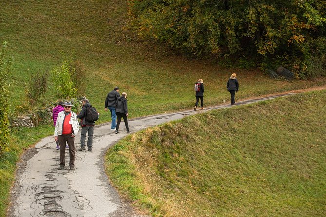 Heidiland and Liechtenstein Tour From Zurich - Journey Through Toggenberg Region