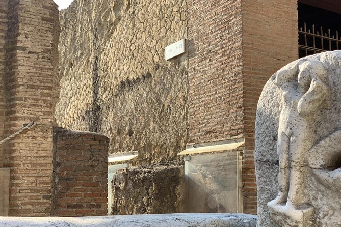 Herculaneum Guided Tour With Your Archaeologist - Highlights of the Guided Tour