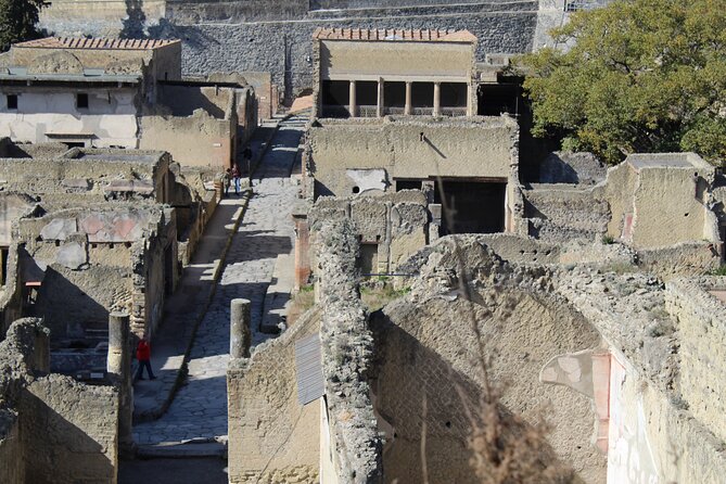 Herculaneum Private Guided Tour Led by a Local Top-Rated Guide - All Inclusive - Discover the Buried City