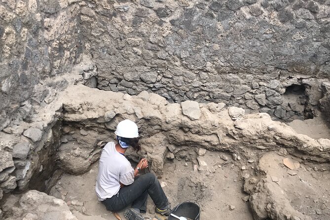 Herculaneum Private Tour With an Archaeologist - Cancellation Policy