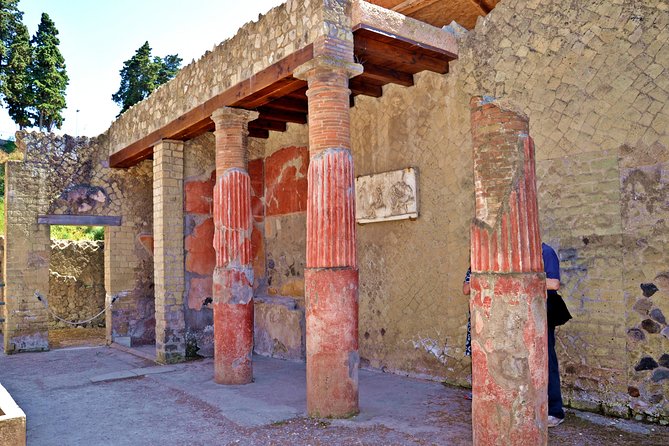 Herculaneum Private Tour With an Archaeologist - Left Luggage Facility