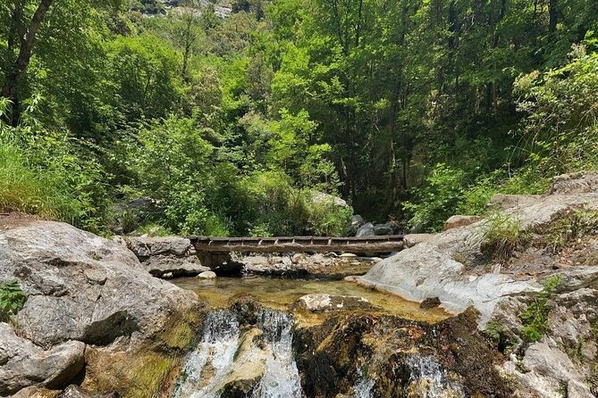 Hike the Valle Delle Ferriere With Lunch at Agriturismo Foreporta - Fitness Level Required