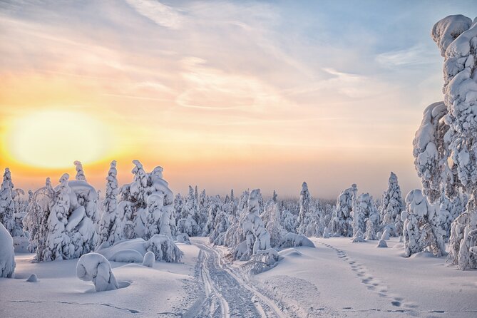 Hike to Frozen Waterfalls of Korouoma Including BBQ Lunch From Rovaniemi - Traditional Blueberry Tea