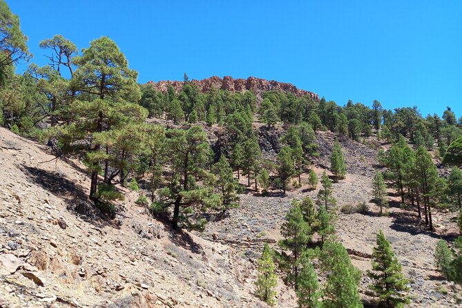 Hiking in Tenerifes Great Outdoors - Local History and Geology