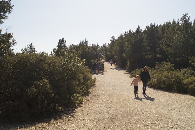 Hiking in the Calanques National Park From Luminy - Transportation From Marseille Provided