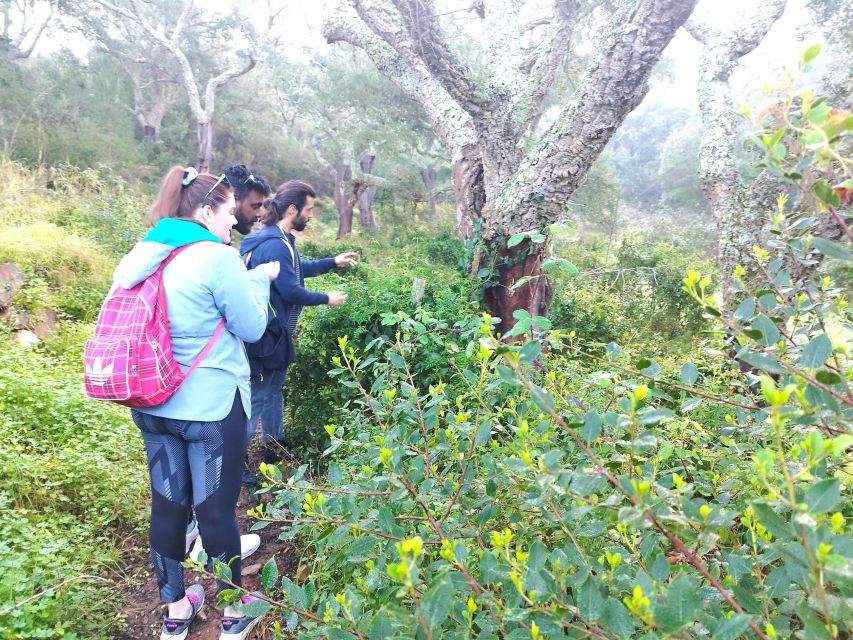 Hiking Tour to the Highest Point of Arrábida Mountain - Panoramic Views